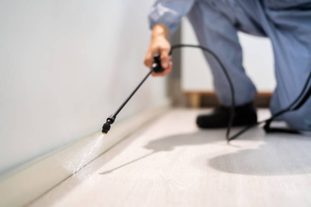 Licensed Termite Control service in Richardson, TX - Nex Pest Control