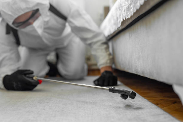 Professional Termite Control technician working in Richardson, TX