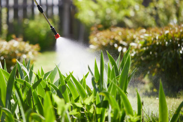 24/7 Emergency Termite Control experts in Richardson, TX
