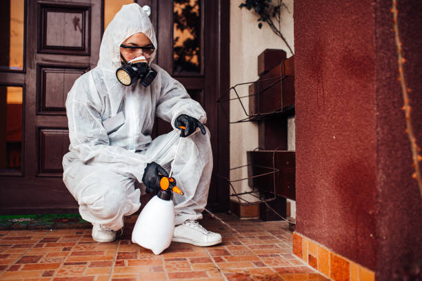 Reliable Termite Control contractor in Richardson, TX by Nex Pest Control