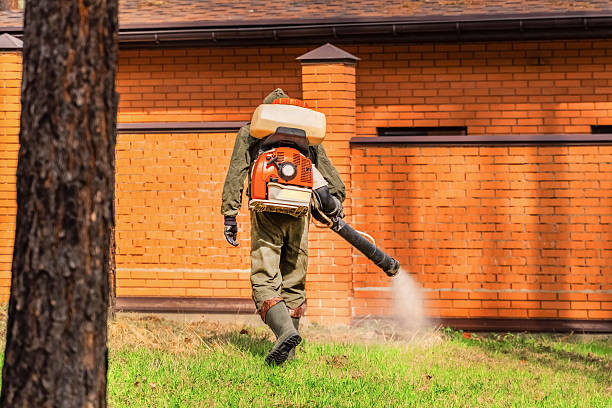 Top rated local Termite Control specialists in Richardson, TX